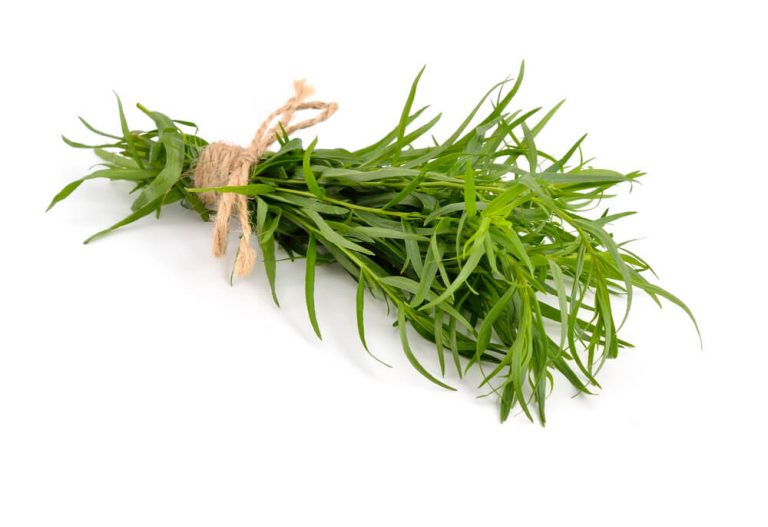 Tarragon is a seasonal herb that can be added while cooking as freshly picked or dried herb.