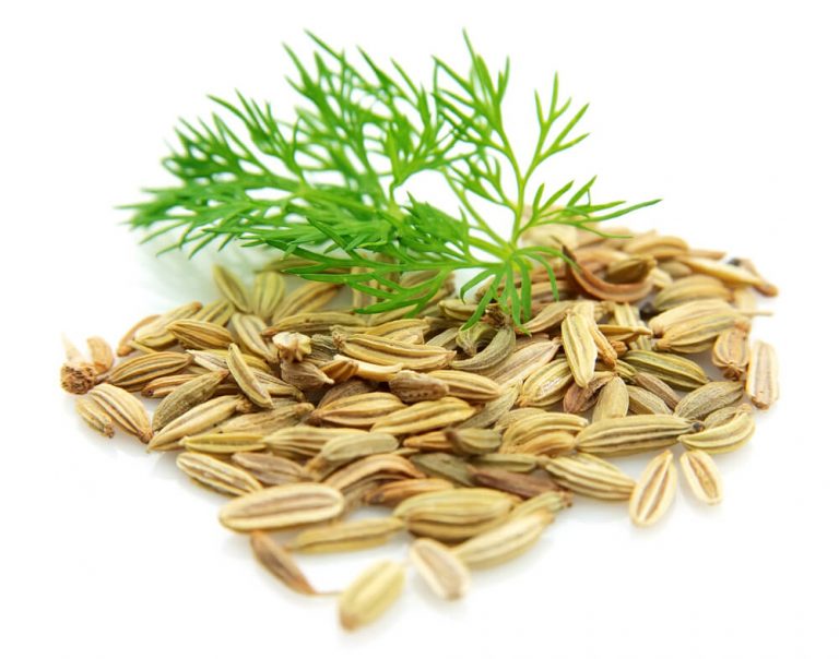 Fennel Seed or Anise Seed has a more intense flavor than Tarragon 