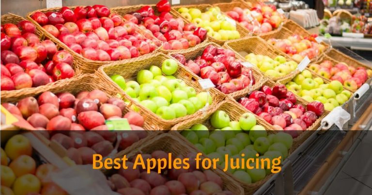 Best Apples for Juicing: What is Your Favorite?