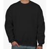 Sweatshirt +$13